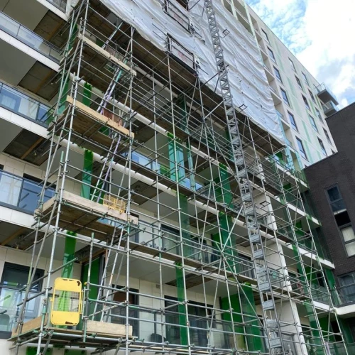 Our Vision for the Future